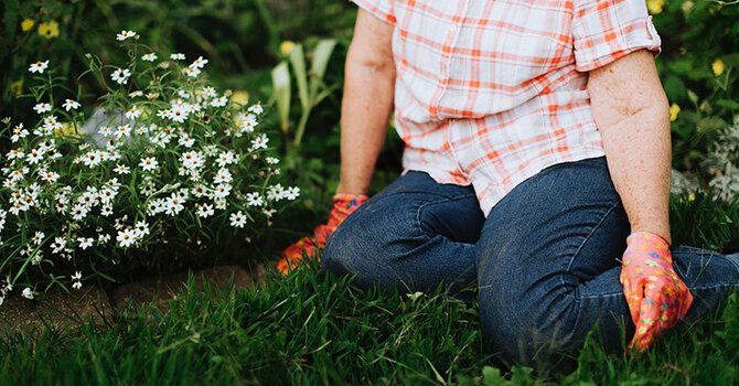 5 Safety Tips for Gardeners image