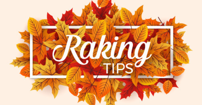 5 Tips for Safe Leaf Raking this Fall image