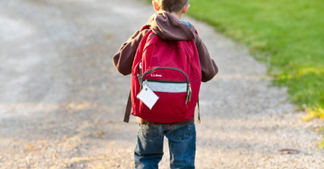 Back to School Health Tips from Your Chiropractor image