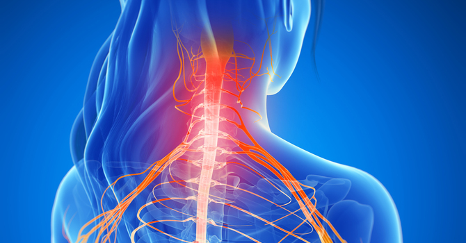 Bad Habits that May Be Causing You Neck and Shoulder Pain image